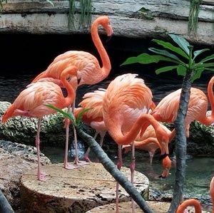 Meet your Posher, Diane